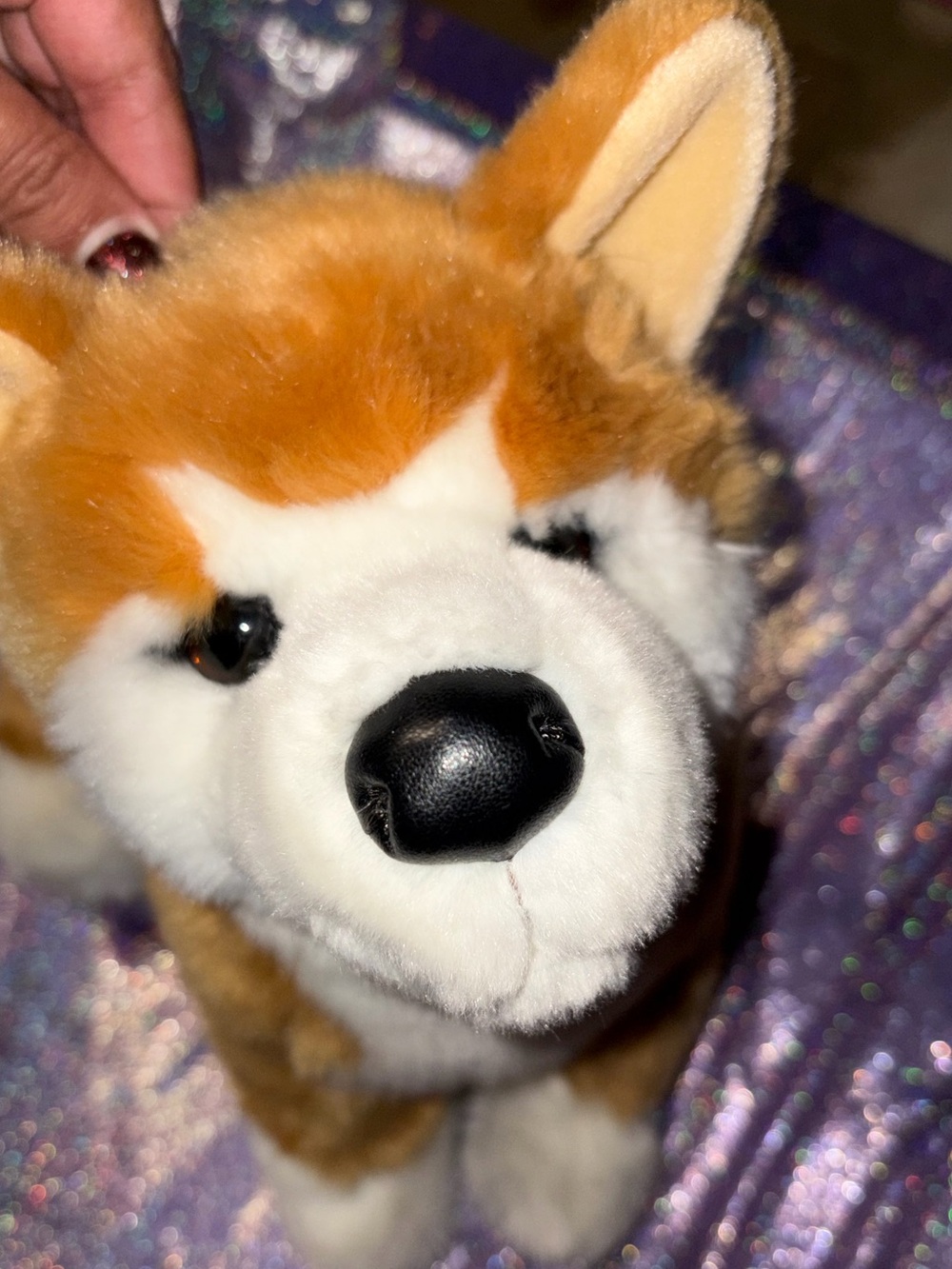 Douglas Shiba Inu Douglas Plush